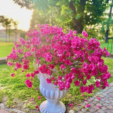 Ξενοδοχείο με διαμερίσματα Podere Sant'angelo Vernasca