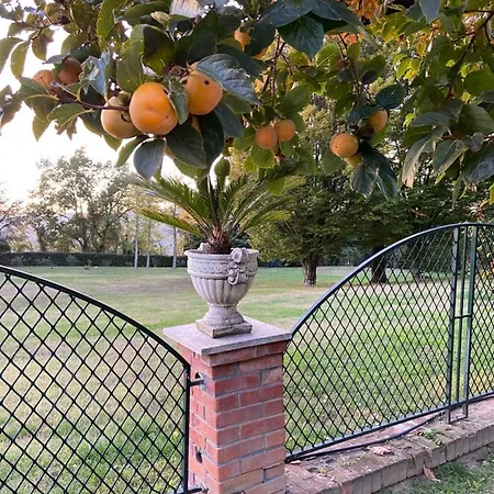 아파트호텔 Podere Sant'angelo