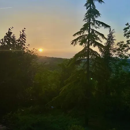 Ξενοδοχείο με διαμερίσματα Podere Sant'angelo Vernasca