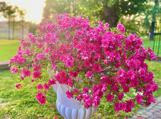 Aparthotel Podere Sant'angelo Vernasca