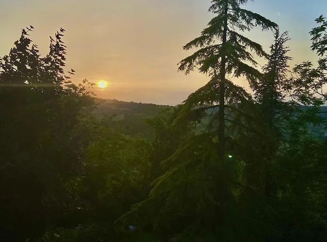 شقة فندقية Podere Sant'angelo Vernasca